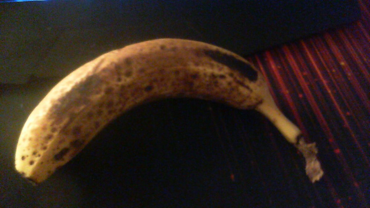 PhoenixReply's tweet photo. DAY 6 (@phnixhamsta you're making me start hating bananas ;-;) https://t.co/2VXV0KTms6