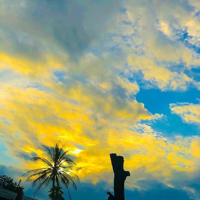 adama32316814's tweet image. 