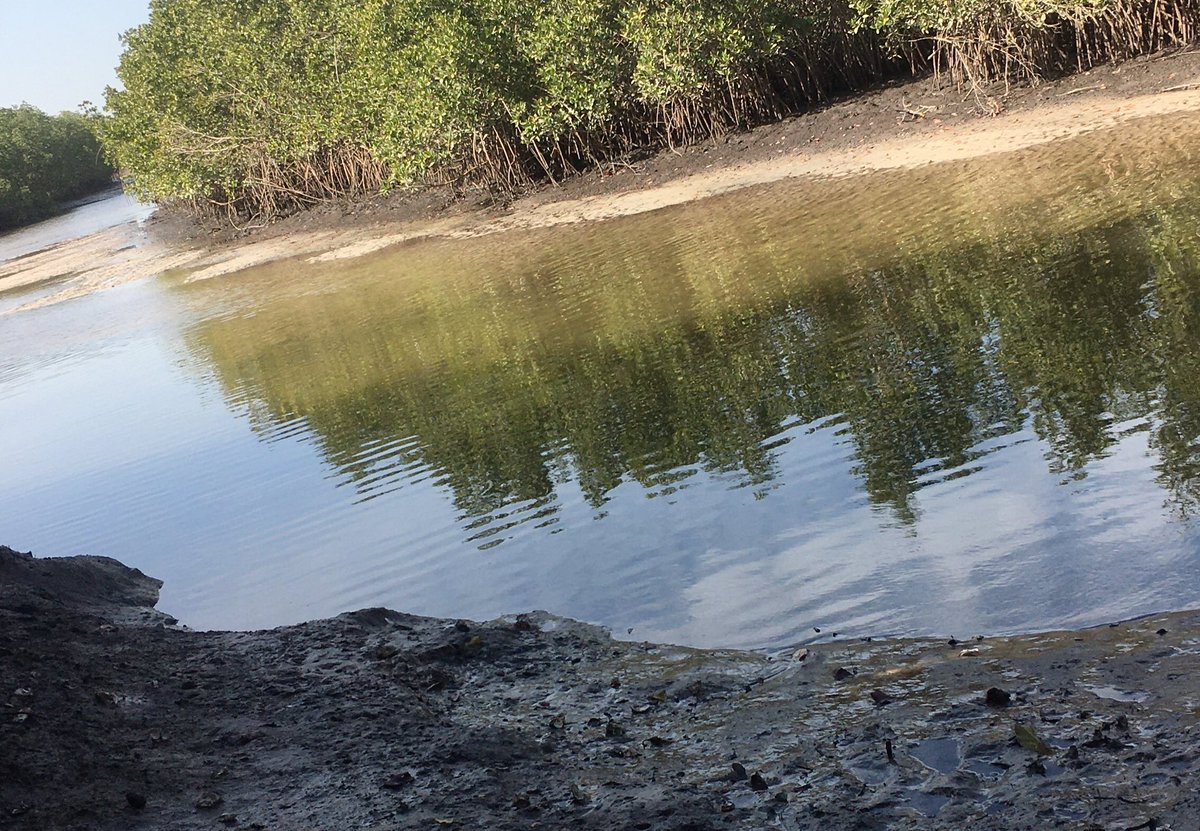 adama32316814's tweet image. 