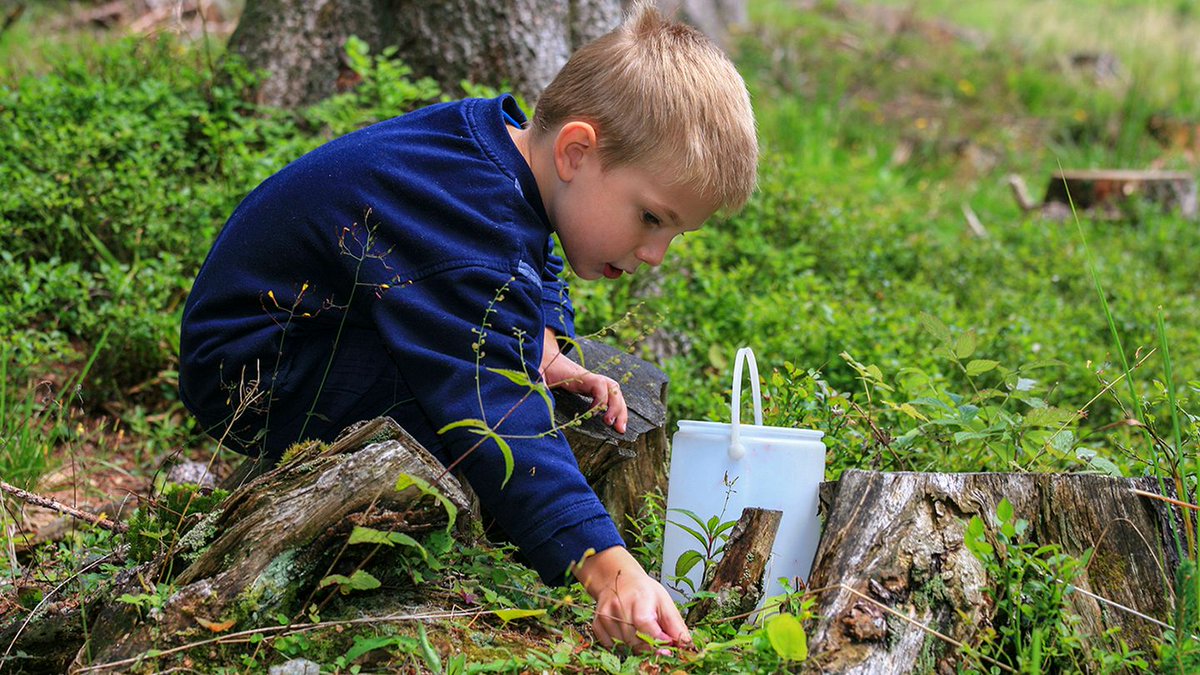 McCambridge1945's tweet image. Now that the weather is not so cold, you may be looking for ideas on how to entertain your children outside. How about a scavenger hunt, such as this one from @WoodlandTrust ?
A great way to explore the natural world!
woodlandtrust.org.uk/blog/2020/01/n…

#scavengerhunt #exerciseoutside