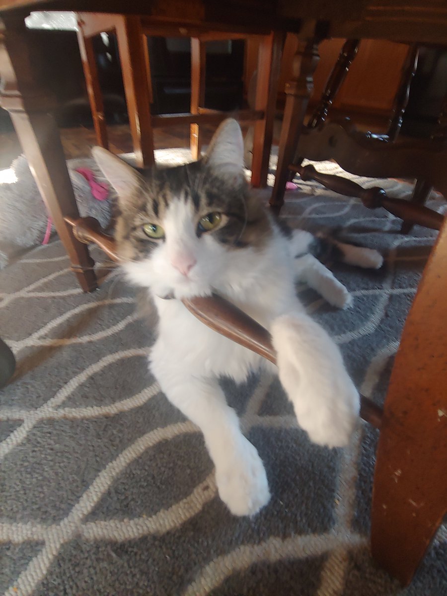 Nicole Tackett tweet media