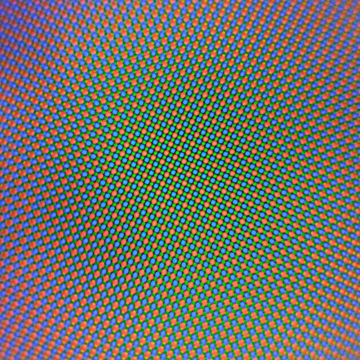 tkdsl8655's tweet photo. So I feel like this a good example of the new #microscope #microlens on the @oppo #findx3pro #pixelpeeping #oppowatch #pixels what do you think? هذا منظر جميل من الهاتف اوبو فايند اكس 3 بروو #sabaho #صباحو https://t.co/frN1RiUErQ
