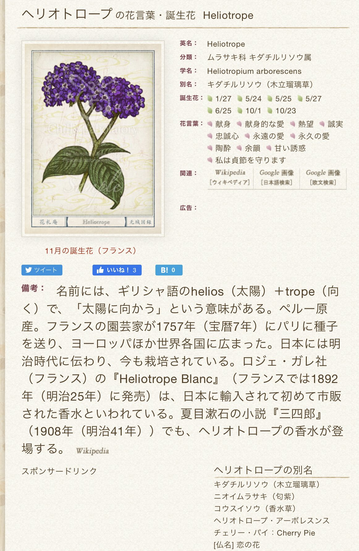 Twitter এ たけ ベリファー本予定 ファーさん香水の花の花言葉 ベリアルとすごく似ている ギリシャ語のhelios 太陽 Trope 向く で 太陽に向かう という意味がある 献身 献身的な愛 熱望 誠実 忠誠心 永遠の愛 永久の愛 陶酔 余韻 甘い誘惑 T