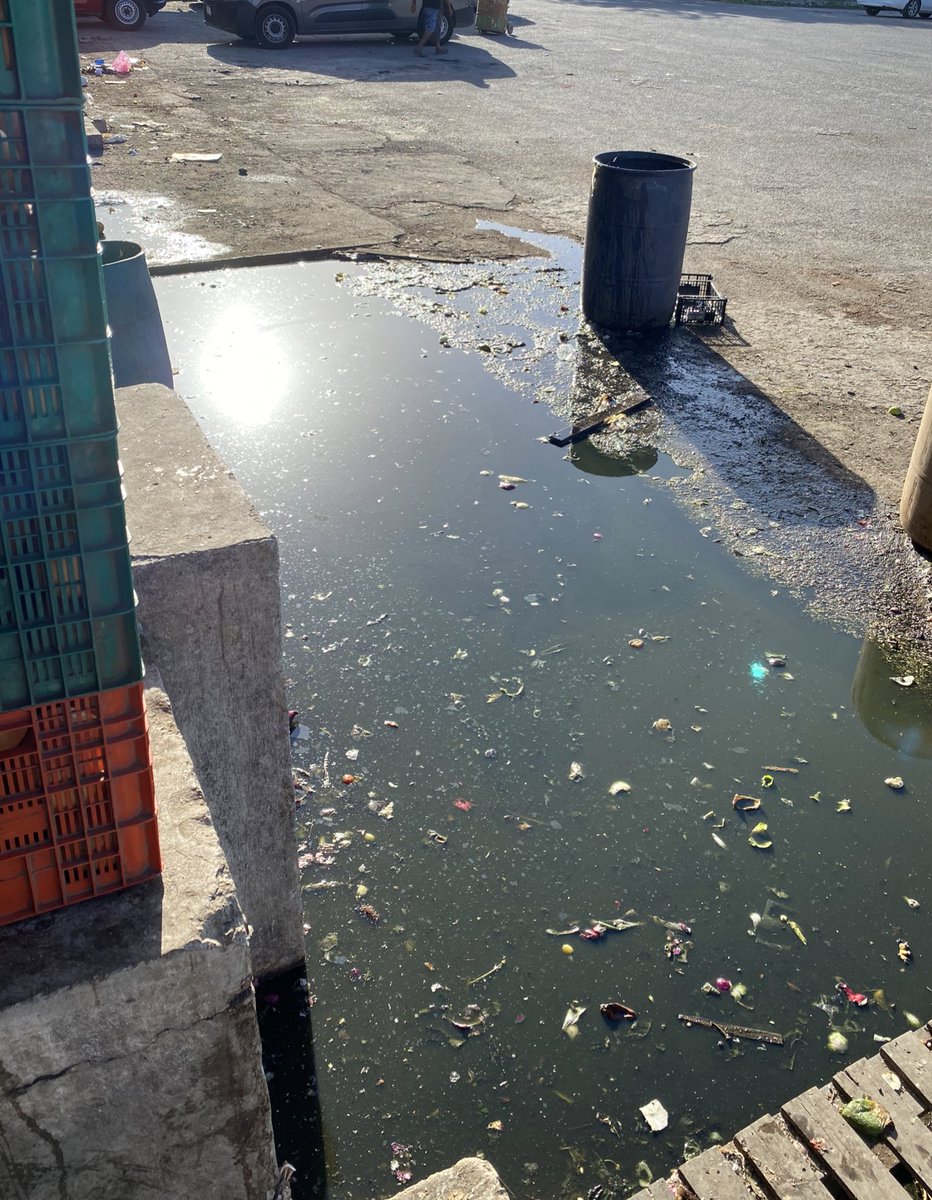 germanytz's tweet photo. Estancamiento de aguas, ya lleva mas de 4 meses así @AyuntaMerida @RenanBarrera https://t.co/dwtDlJHZiD