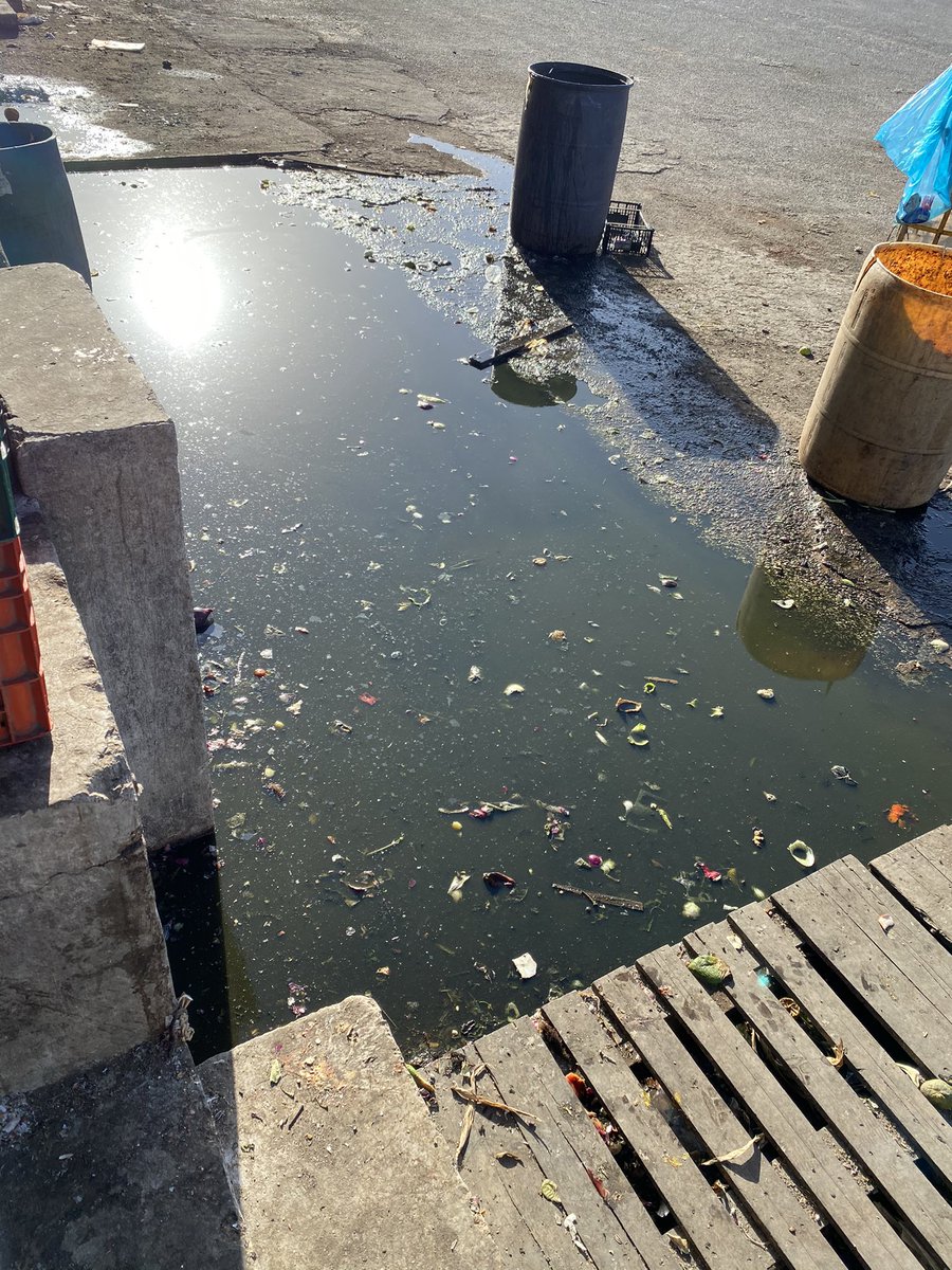 germanytz's tweet photo. Estancamiento de aguas, ya lleva mas de 4 meses así @AyuntaMerida @RenanBarrera https://t.co/dwtDlJHZiD