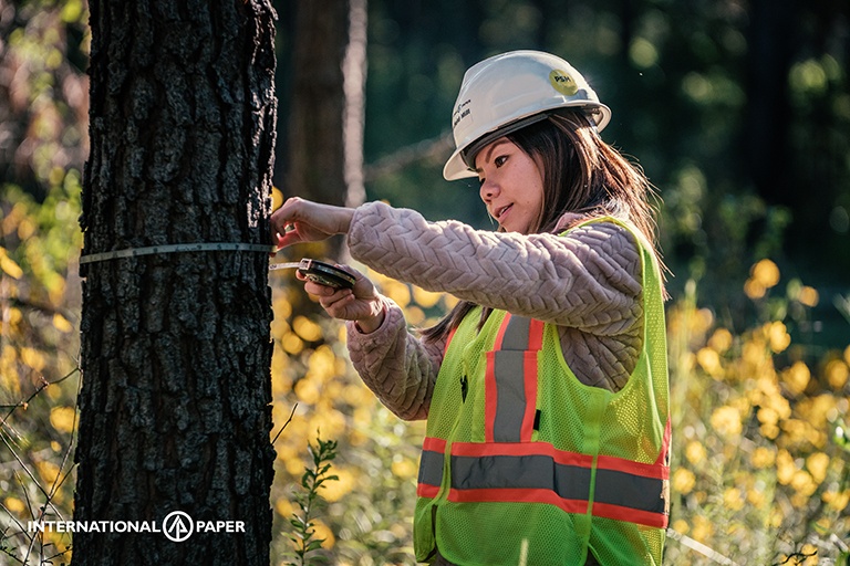 IntlPaperCo's tweet photo. DYK? Academic research in forestry is essential to ensuring the sustainability of forests. Over the past two years, we've selected six programs at four universities for grant funding, including @NCState, @msstate, @virginia_tech &amp; @TAMU. 

Learn more here: https://t.co/NVP0AEufrd https://t.co/AJnsEvafM2