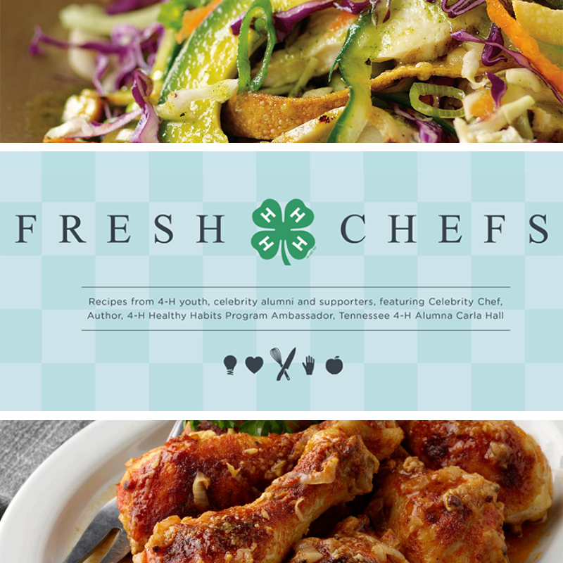 Virginia4_H's tweet photo. Celebrate #NationalNutritionMonth by making some healthy recipes from the #4HFreshChefs cookbook! 
👉 https://t.co/9K6UR9loHO #Opportunity4All #Cooking #CookingAtHome #Recipes @4H https://t.co/yVfQ6ykeW5