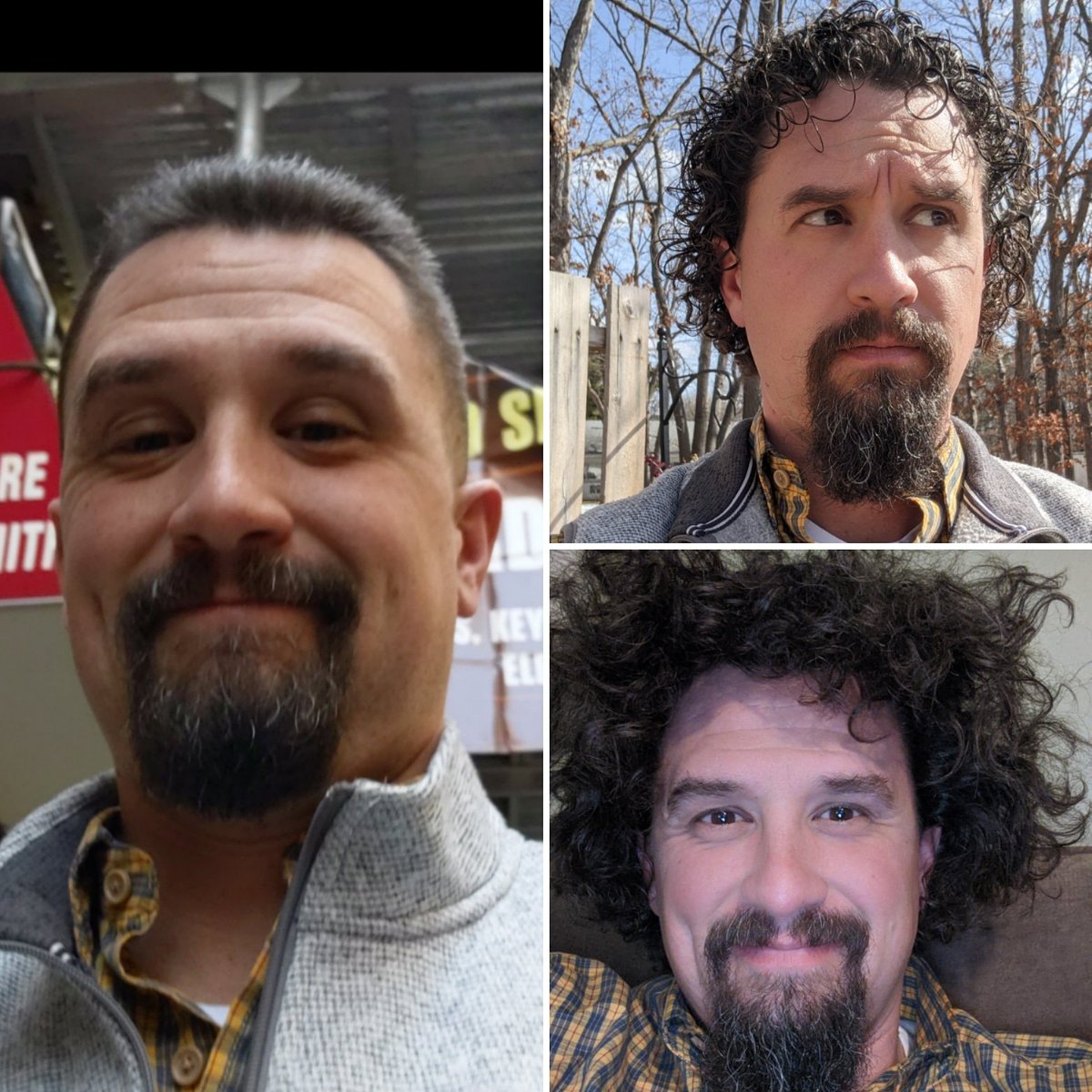 Kevin Maccarella tweet media