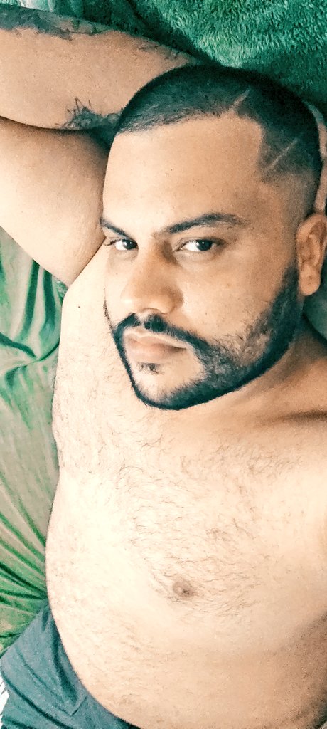 Thiago_wolf's tweet photo. 🌡️🐻 https://t.co/zvVzq5FYq2
