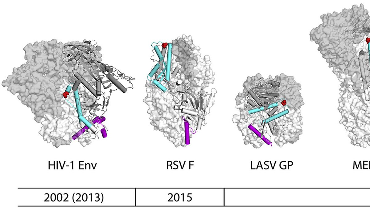 Virus vaccines: proteins prefer prolines. Sanders &amp; Moore review a method devised for #HIV #vaccine development that was utilized in most #COVID19 vaccines-- stabilization of the spike protein by appropriately positioned proline amino acid substitutions cell.com/cell-host-micr…