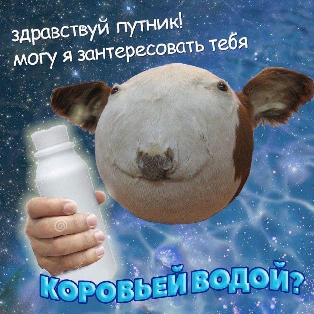 Inscription in Russian: [Hello traveler! May I interest you in COW WATER?] https://t.co/vc8fwFeXi3