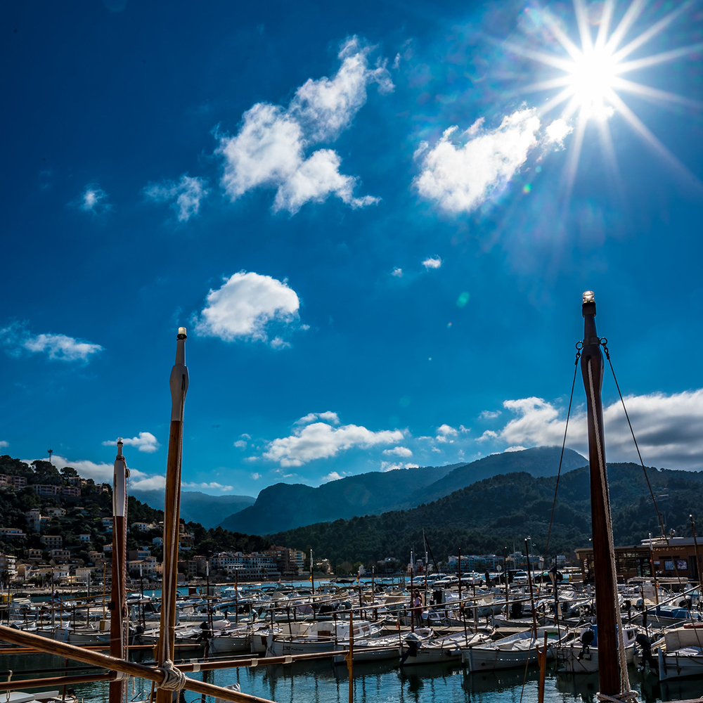sollerweb's tweet image. Sitting on a bench...coffee in hand...by the boats, under the sun .... watching the world go by.  Port Soller is always a great idea! 🛥️

Photo Credit/Copyright: Gary Lloyd-Rees

#Sóller #Mallorca #SollerWeb #holiday #portsoller #restaurants #cafes #hotels #boats #diving