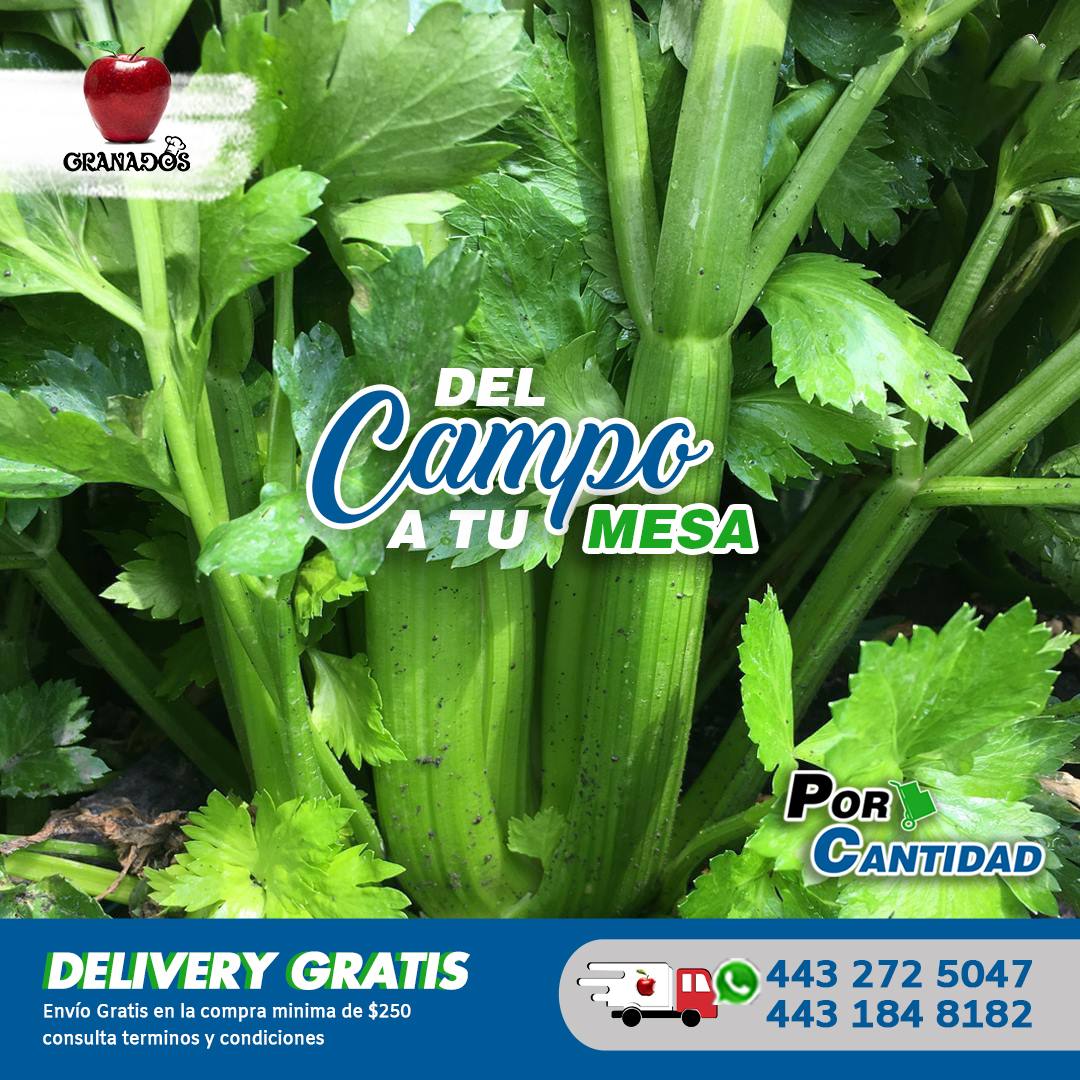 Al comprar en Distribuidora Granados estas apoyando a múltiples productores locales y al mismo tiempo tienes productos más frescos.

#DistribuidoraGranados #SoyEmprendedor #Mayoreo #Morelia  #HazBarrio