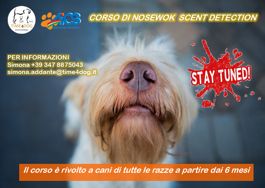 Time4Dog's tweet image. A breve tutte le info per poter partecipare al nostro corso.
In ogni caso Simona sarà a vostra disposizione per eventuali domande o chiarimenti al +39 347 887 5043 oppure info@time4dog.it
#time4dog #nosework #scentgame #scentdetection