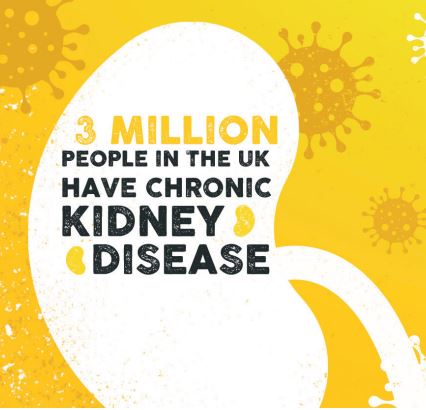 More facts <a href="/lizzybrigid/">Lizzybrigid</a> <a href="/markbrady37/">mark brady</a> @NoraKerigan <a href="/25_rph/">Ward 25 RPH</a> @LancsHospKCT1 @rphtxsrs @LancsHospRHT <a href="/LancsHospitals/">Chorley & Royal Preston</a> @HowlesJohn <a href="/SarahC_RN/">Sarah Morrison RN</a> <a href="/rachel_sansbury/">Rachel Sansbury</a> #worldkidneyday2021