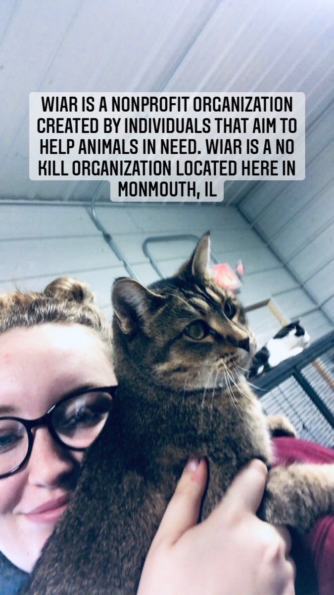 MC Kappa Kappa Gamma (@monmouthkappa) / Posts / X, image size:675x1200