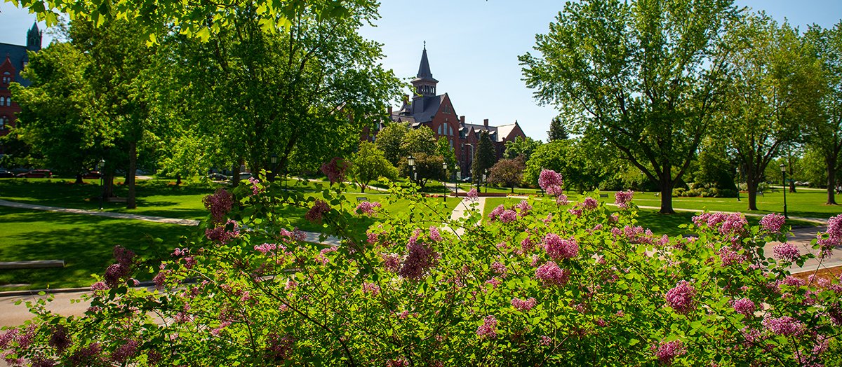 DavidRosowsky's tweet photo. Days like this aren't too far away, Catamounts. Get out and enjoy this early spring day today! #thursdayvibes @uvmvermont #UVM #notquitespring https://t.co/ZUGYXSxWbe