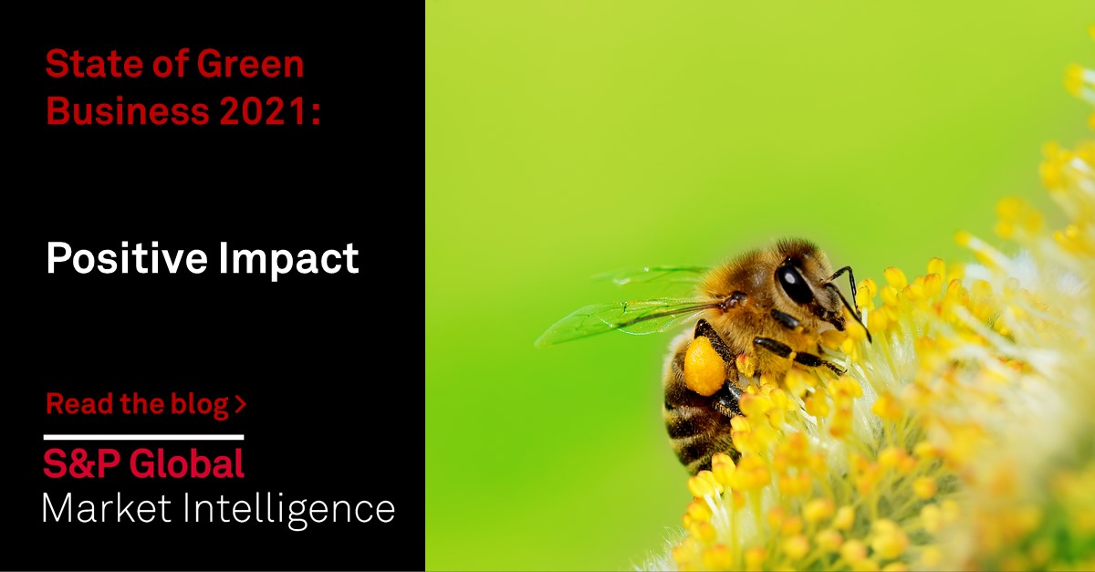 Read our latest piece on positive impact, as we look at the progress being made towards achieving the 17 United Nations #Sustainable Development Goals, review the steps being taken, and look into the growth of green bonds. #SeeWhatMatters ow.ly/QPty50DRpHG