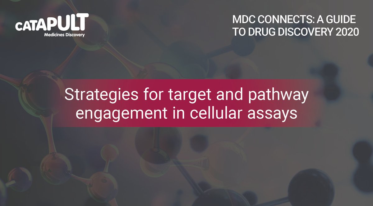 MedDiscCat's tweet image. Key to the #targetvalidation process and improving clinical attrition is testing the biological hypothesis. 

Our Lead Scientist, Matthew Burnham tells us why it is important to understand target engagement ⬇️ ow.ly/ncEC50DVXhb #MDCConnects