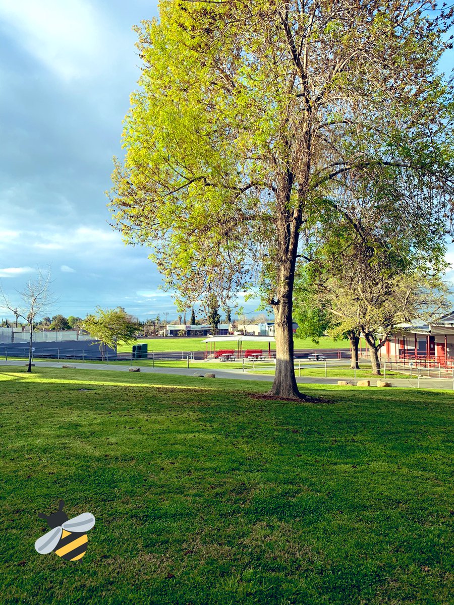 It is a beautiful morning here at WMS!  #teambcsd #BeMighty