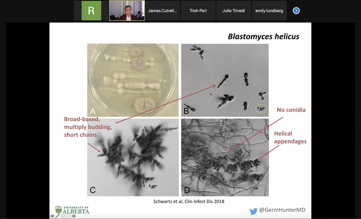 Richard Medford MD tweet media