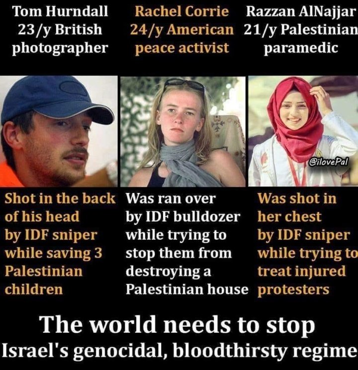 Oracle5555's tweet photo. @swilkinsonbc US MUST STOP TERROR FINANCING ISRAHELL
3.8 BN $$
@UN @JoeBiden @KamalaHarris  @OIC_OCI 
@MFA_China  @UPI  @EU_Commission   @trtworld @washingtonpost   @AP @nytimes   @UNHumanRights  @amnesty  @hrw @IntlCrimCourt @Reuters   @CNN @BDSmovement  @guardian  @KingAbdullahII https://t.co/az2UyYzCY5