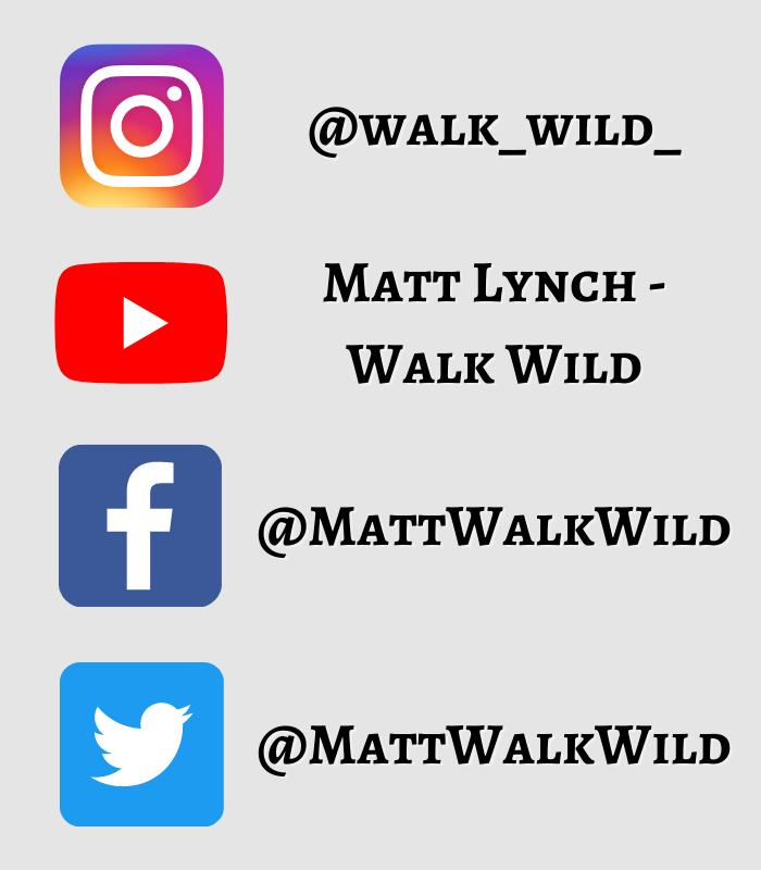 MattWalkWild's tweet photo. If you have enjoyed my posts, take a look at my other accounts at Walk Wild!

💻 Website: https://t.co/hiKbHaf252
📸 Instagram: https://t.co/OnBOPEk7QV
📽 YouTube: https://t.co/NMXjsLjaez
✉️ Newsletter: https://t.co/Rbq1REyoqt
📝 Join My Patreon: https://t.co/9OgNvpfHRg https://t.co/hSHxFqfWNm