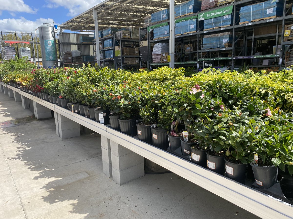 HD 6365 Orange City looking good with new self watering tables.
