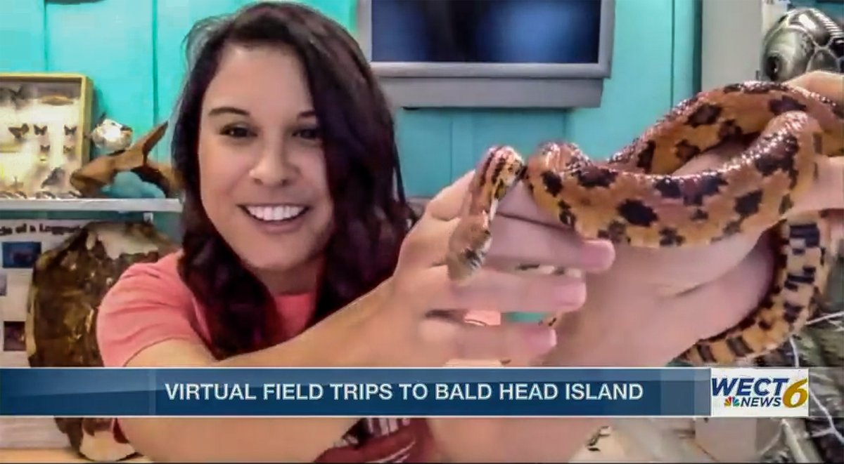 BHIConservancy's tweet image. Marissa, our Senior Educator, recently sat down with @wectnews to talk about our virtual field trips! Check out the interview here - wect.com/2021/03/02/vis…

#BHIC2021 #baldheadisland #sharingnature #bhinc