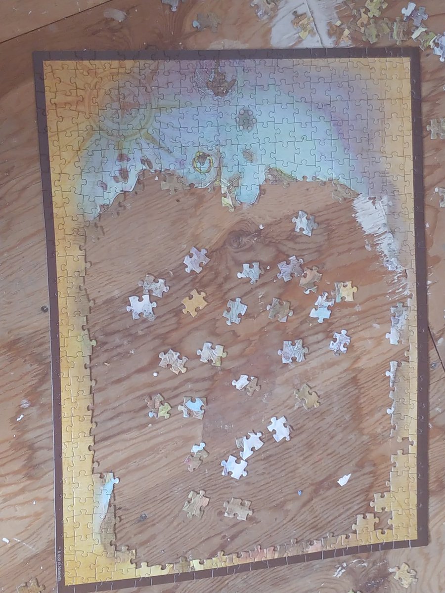 @emilierice20 @NightmarePetrol Ratiod by my puzzle