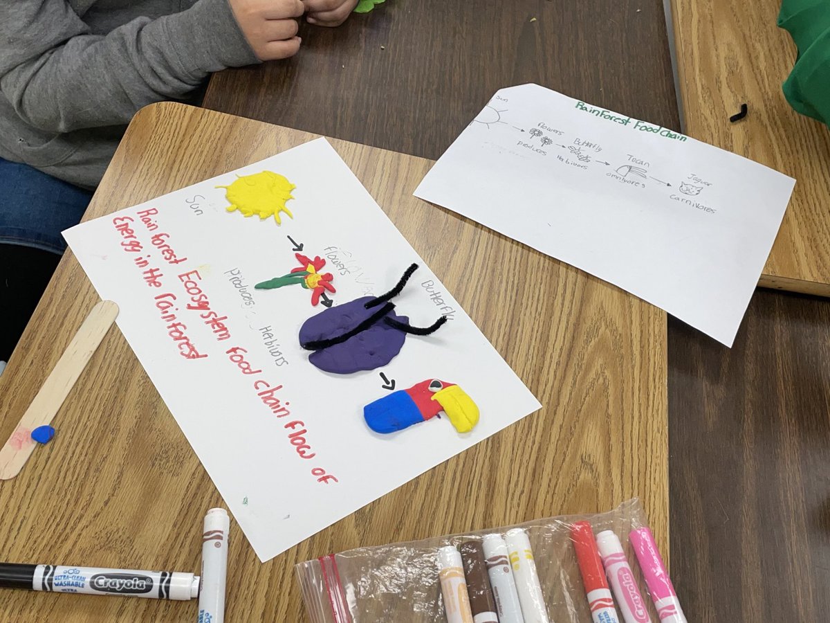 Did you know a hammerhead shark can consume another shark? Ms. Quiroga’s s. ⁦@GoodmanES_AISD⁩ definitely know! Groups created food chain models representing the flow of energy out of model magic! ⁦@STARS_902⁩ #AldineAnywhere #ClutchScience