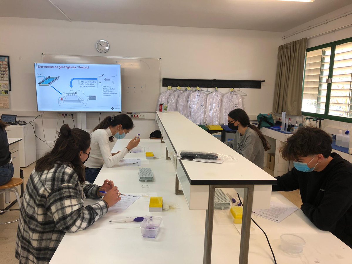 PortUIB's tweet photo. Molt feina avui al laboratori #DemolabUIB amb l'alumnat de batxillerat de @iesSONPACS 😀
➡️https://t.co/PH5QVKHXA7
#SeràsUIB #futuralumnat #ciència https://t.co/BAxfG4aZiu