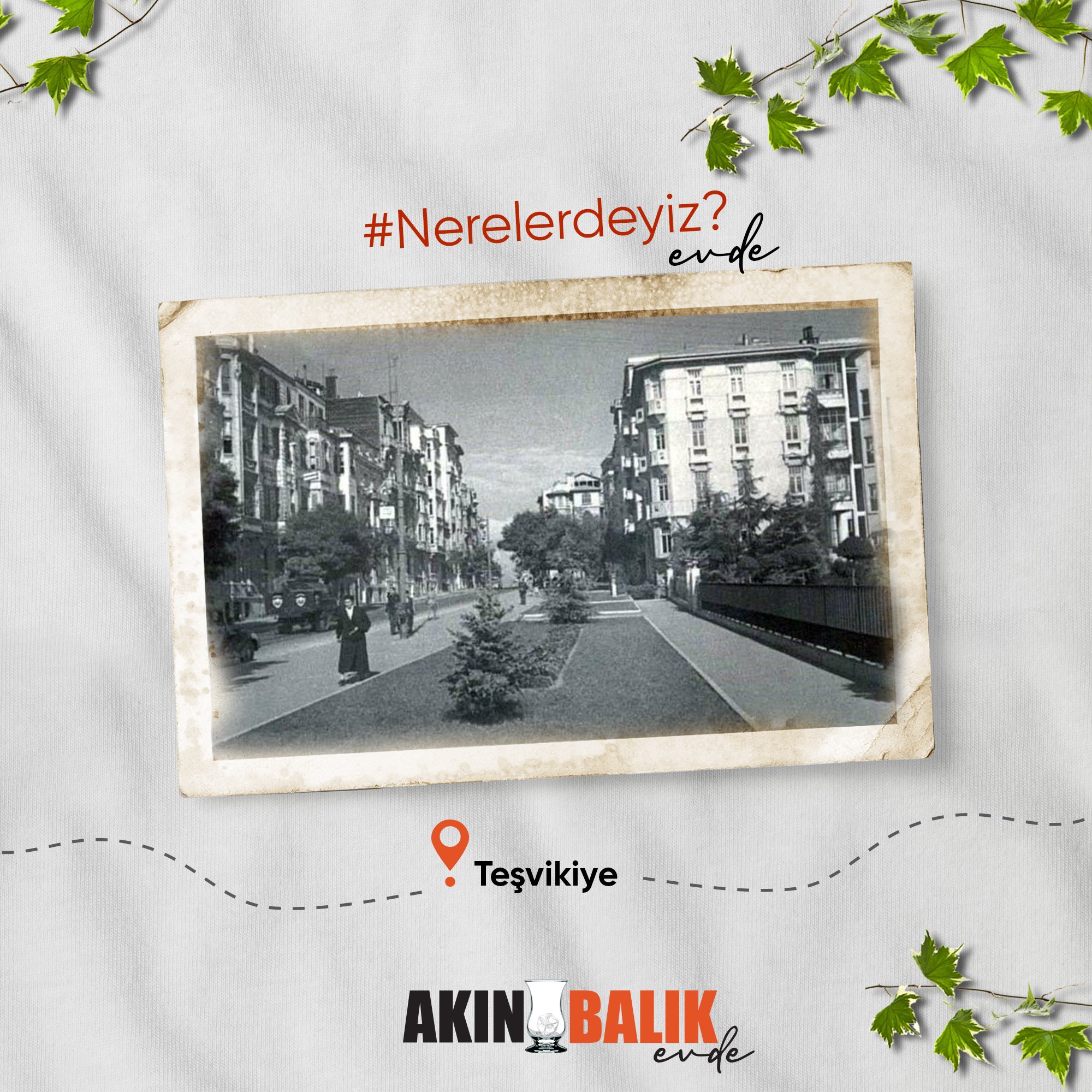 akin balik evde akinbalikevde twitter