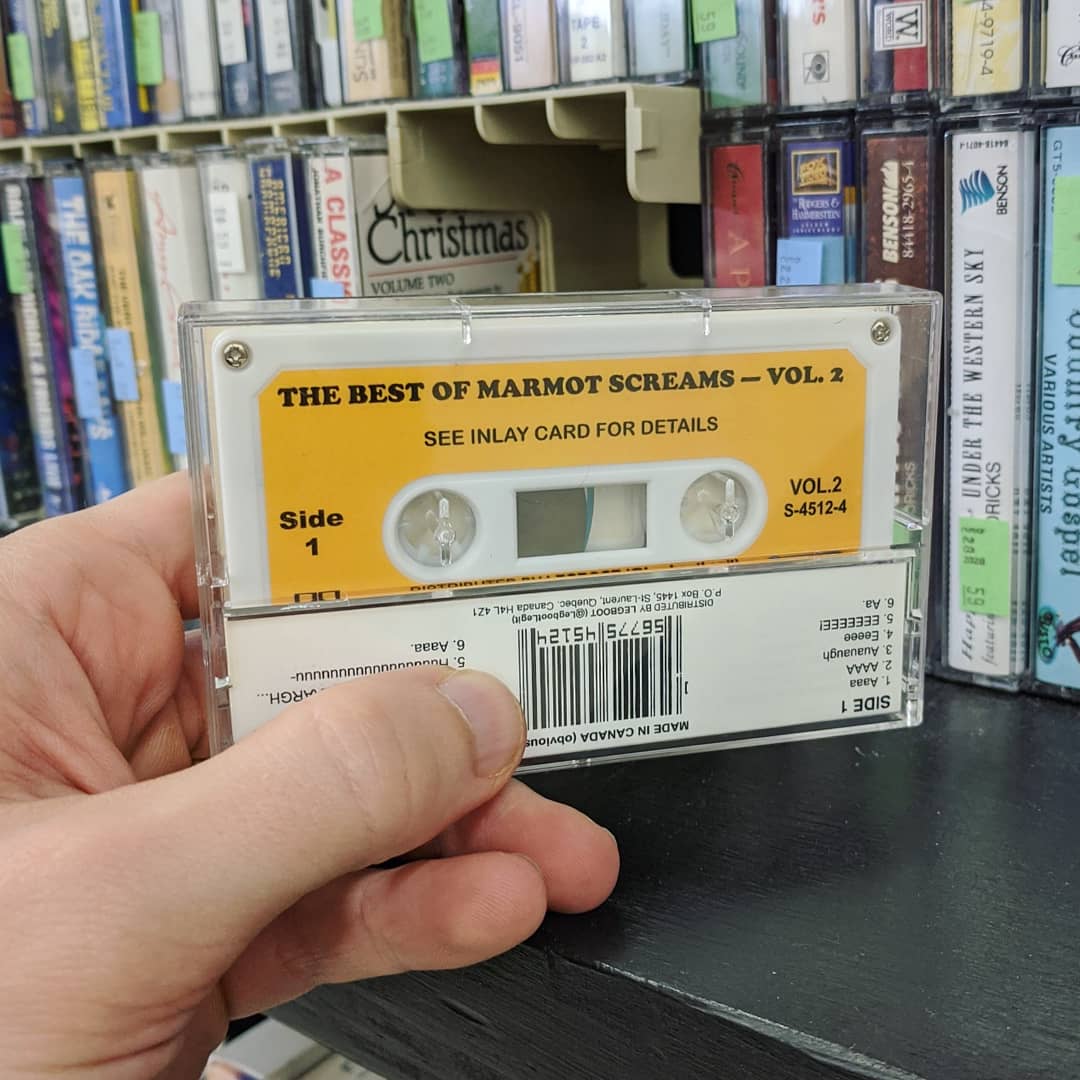 LegbootLegit's tweet photo. The Best Of Marmot Screams. Now available on audio cassette
#legboot #obviousplant #groundhog #aaaaaaaaaaaaaaaaaaaaaaaaaaaaaaaaaaaaaaaaaaaaaaaaaaaaaaaaaaaaaaaaaaaaaaa #cassettetapes #cassetteculture #custommade https://t.co/c3w6huHdBQ