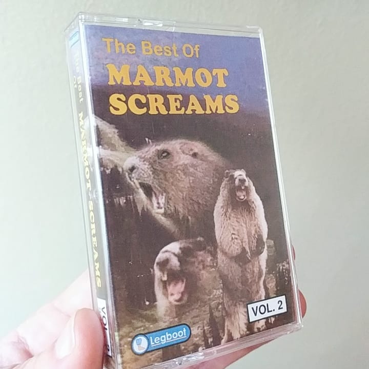 LegbootLegit's tweet photo. The Best Of Marmot Screams. Now available on audio cassette
#legboot #obviousplant #groundhog #aaaaaaaaaaaaaaaaaaaaaaaaaaaaaaaaaaaaaaaaaaaaaaaaaaaaaaaaaaaaaaaaaaaaaaa #cassettetapes #cassetteculture #custommade https://t.co/c3w6huHdBQ