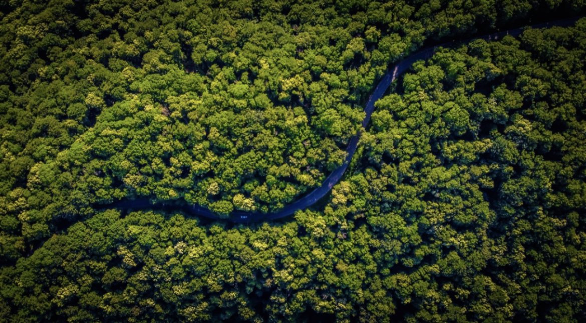 endocryne's tweet photo. Forests to fields.
In terms of drug development, Nature has enjoyed a ~4 billion year head start.
From oncology to infectious disease, we believe that, by mining Nature’s rich tapestry of bioactive molecules, we can solve the world’s most pressing medical needs.
#UKbiotech https://t.co/jES8AxYDMr
