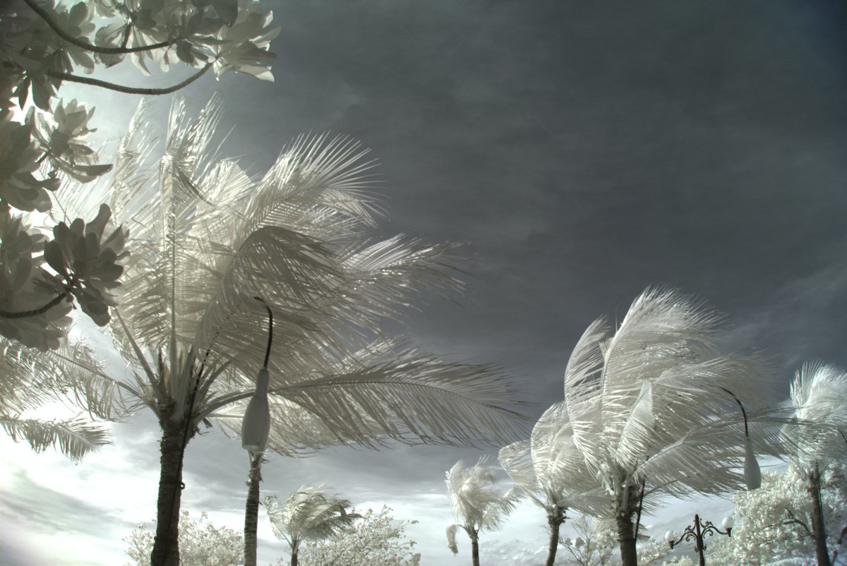 “Being prepared does not make the crisis disappear! Even if you’re ready, it’s still there, only in more manageable proportions.” - Barbara Salsbury #insurancelaw #miami #hurricanseason #alonsoperezlaw