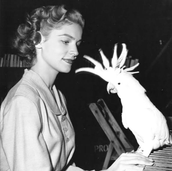 DamesandDogs's tweet photo. #LaurenBacall with her cockatoo https://t.co/eUfrkB1dN3