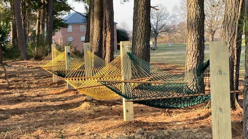 Dorothea Dix Park Say Hello To Your New Favorite Hang Out Spot At Dixpark An Inviting Hammock Grove Has Sprung Up In The Pine Trees At The Big Field Dorothea Dix Park Say Hello To Your New Favorite Hang Out Spot At Dixpark An Inviting Hammock Grove Has Sprung Up In The Pine Trees At The Big Field