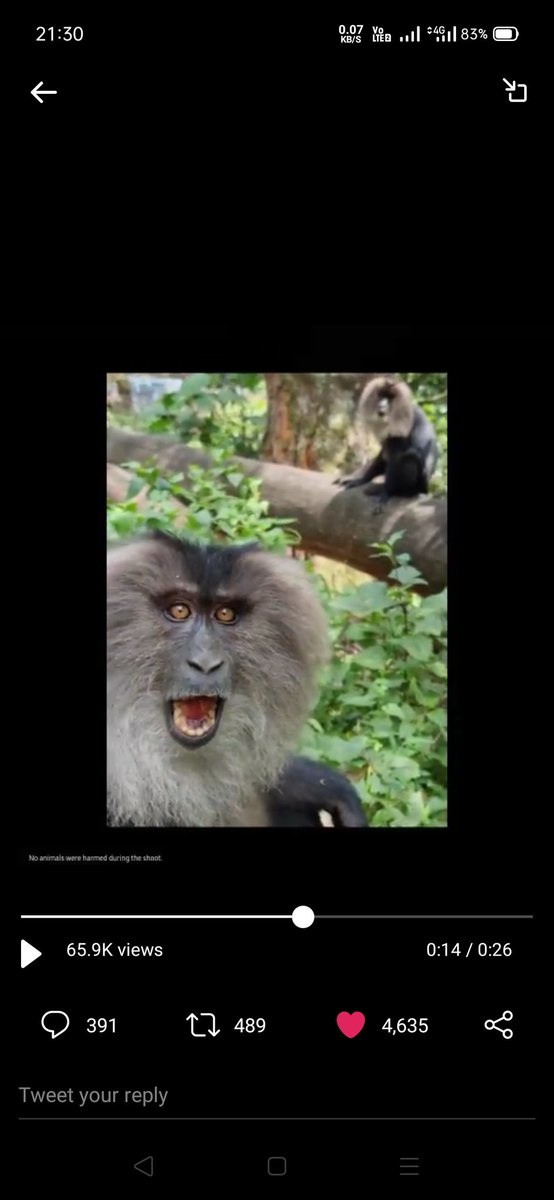 KDivya18740584's tweet photo. @SamsungIndia @NGTIndia Here's my perfect screenshot 
@SamsungIndia

#8KVideoSnap #GalaxyS21 
#ContestAlert #UncoverTheEpic #Samsung 
Tag
@rajni3096
@LokmaniDixiT95 
@the_pride_grv 
@RubyAga9339 
@piyushpuri12
@mysterioussu
@vijumicro1985
@Pareek197 
@the_pride_grv 
@SumanJadhav8 
@Jyoti14300 https://t.co/wHTuhA2ba2