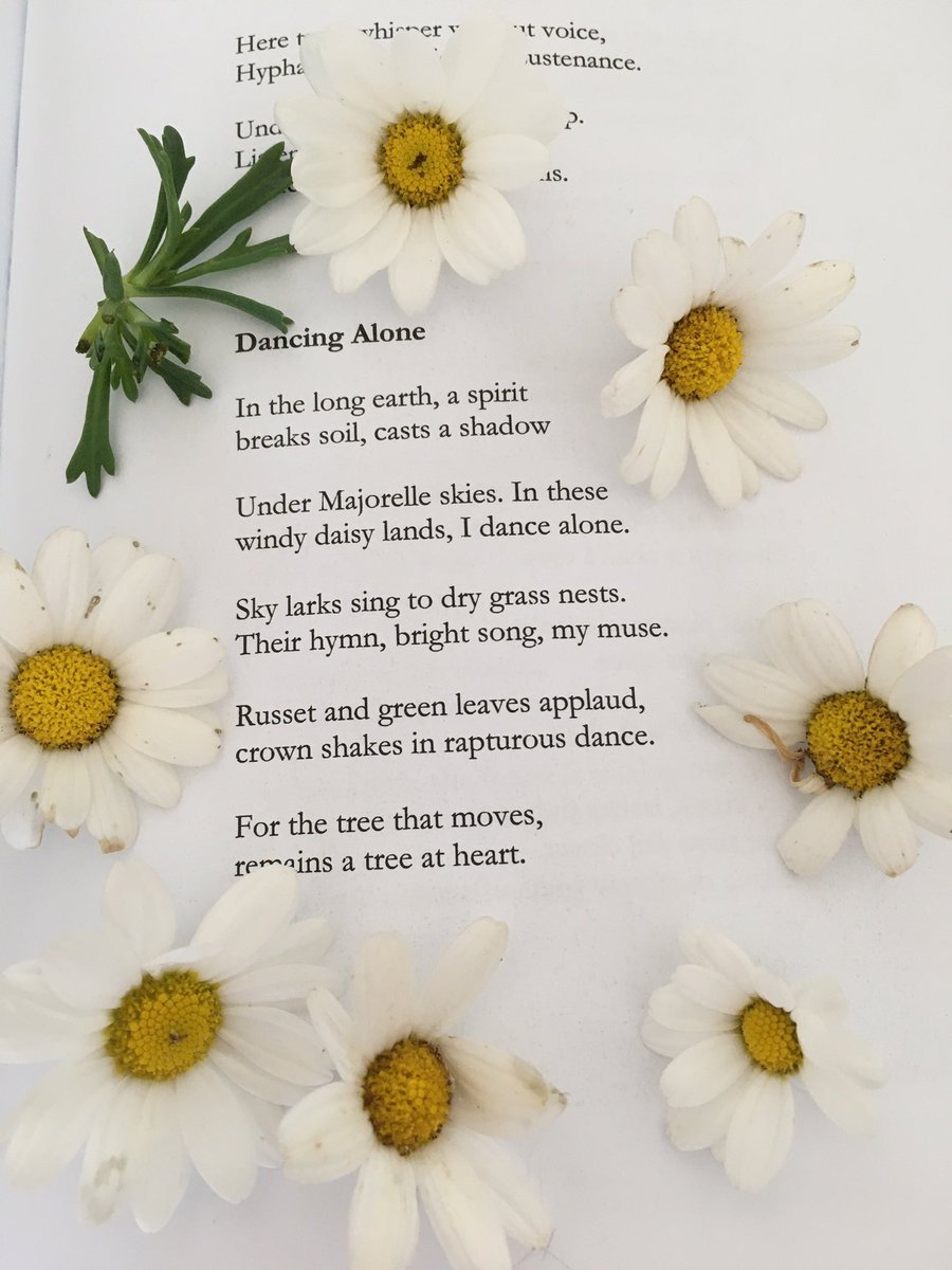 ‘In these windy daisy lands, I dance alone’ (Dancing Alone)

Oh I can’t tell you how happy I am to receive <a href="/thnargg/">Dai Fry: Poet 🏴󠁧󠁢󠁷󠁬󠁳󠁿 🌷🐞💐 ☄️🐝🦋</a> #UnderPhotonCrowns <a href="/blackboughpoems/">Black Bough Poetry / Barddoniaeth Y Gangen Ddu</a> in today’s post. I’ve been longing for it to arrive &amp; I’m going to immerse myself now in Dai Fry’s beautous writings⭐️ 👑 🌼💫