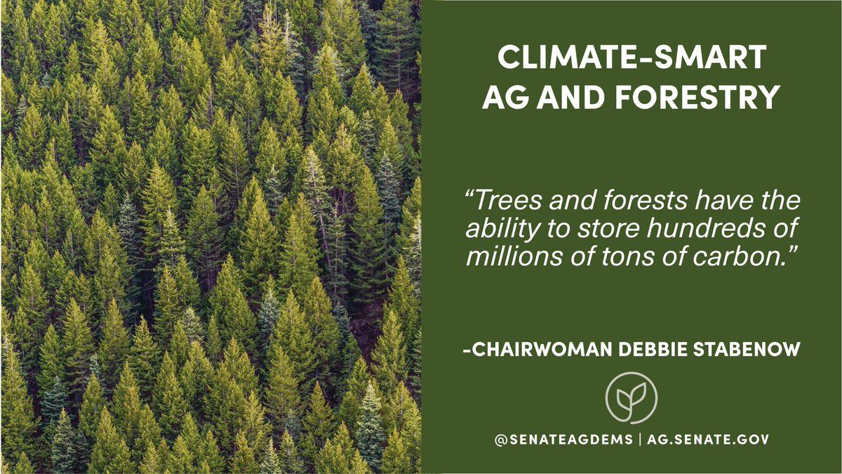 AlixMurdoch's tweet photo. Thanks @SenStabenow for the shoutout! "Trees and forests have the ability to store hundreds of millions of tons of carbon, a reality recognized by another impressive coalition in this space called the Forest Climate Working Group" #SenateAg #forest4climate https://t.co/OI54ZwHAre