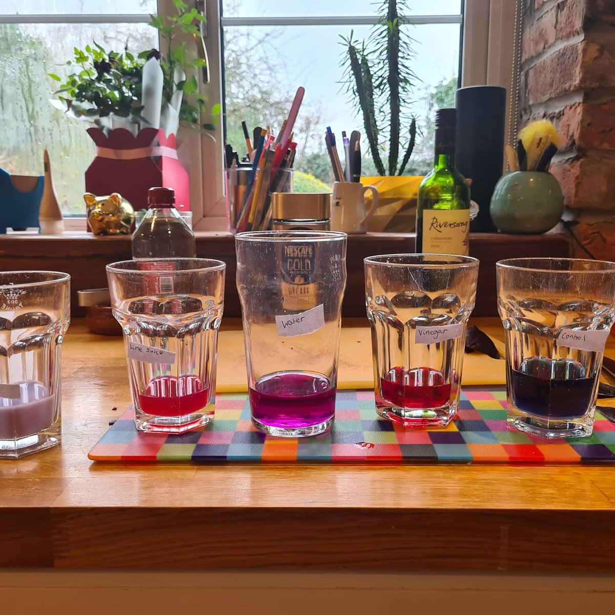 ScienceHCCS1's tweet image. Some more fantastic homelearning experiments from Freya, Darcie and Amy in Y7. Perfect homemade indicator!
Find out more about acids and alkalis here
bbc.co.uk/bitesize/topic…
#hccslearning #hccsscience #hccs #holmeschapelcomprehensive #holmeschapelcomprehensiveschool #science