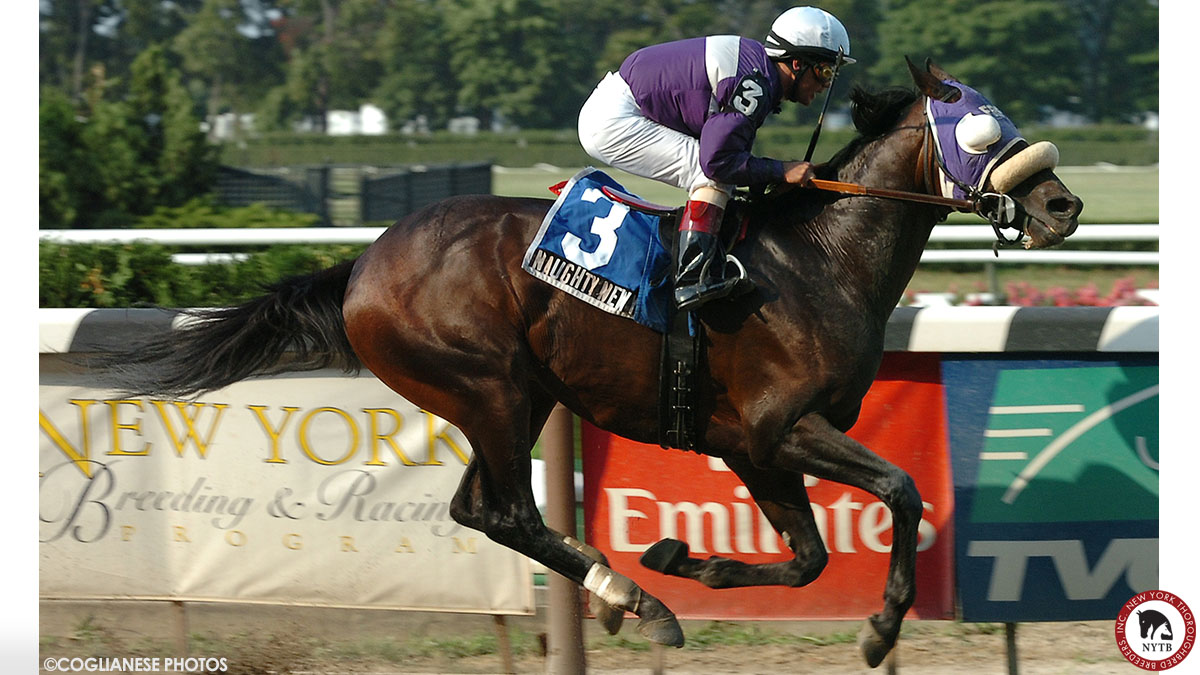 nytbreeders's tweet photo. A popular #NYbred millionaire is back in his home state! Nineteen-year-old Naughty New Yorker, bred by Dr. William Wilmot and Dr. Joan Taylor, was pensioned from stud duty in Canada and has joined the @OldFriendsCC family. Full story: https://t.co/nV64rMSCuV https://t.co/yRi2krIFJv
