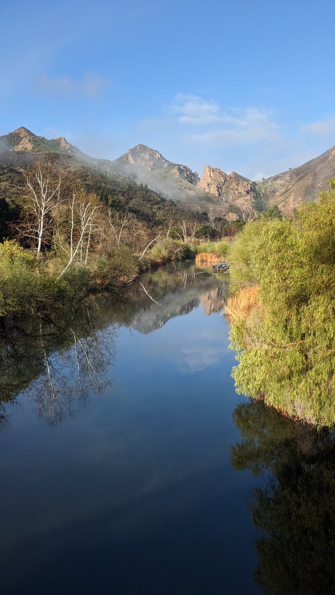 Matt Singley tweet media