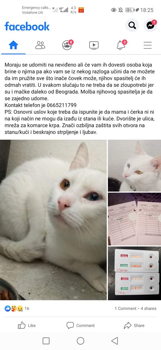 Raspašću se
Ali ako imate uslove i želite macy, pls, obratite pažnju 😔