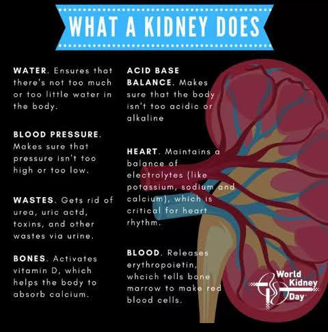 Icareconnectsho's tweet photo. The powerful filter #Loveyourkidney https://t.co/BZ7p80axVk