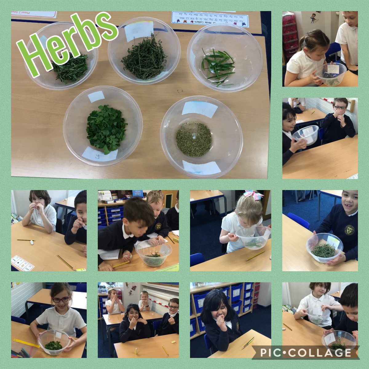 St Hilda's CE (VA) Primary School tweet media