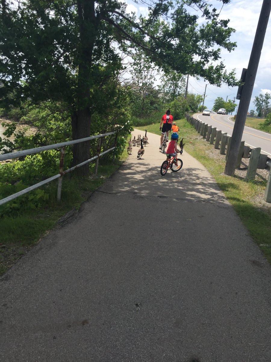 TreasuredTreks's tweet photo. Itching for a family friendly day trip?  Check out: Ships, Wine and Butterflies! https://t.co/22vJkcykSf
# niagaracycling #winerylunch #butterfly @NiagaraParks  @wellandcanal @RavineVineyard https://t.co/EYog3tmWl7