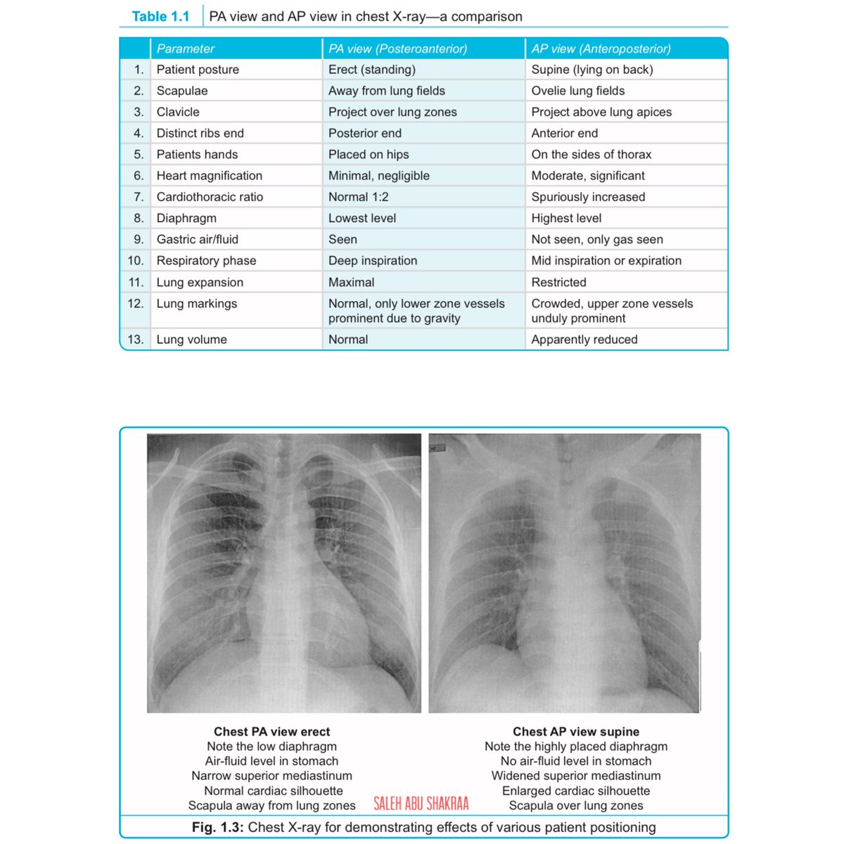 ﮼صالح،علي،أبو،شقرا tweet media